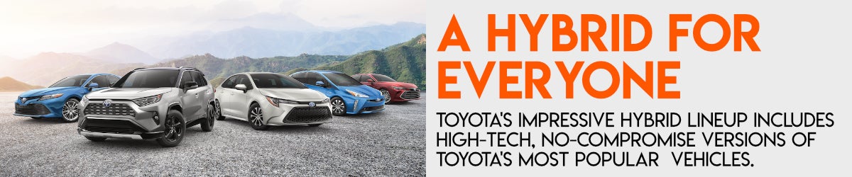 Toyota hybrids for everyone