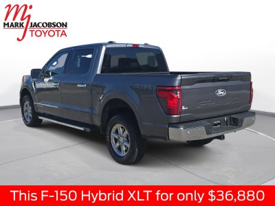 2024 Ford F-150 XLT
