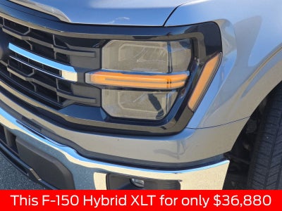 2024 Ford F-150 XLT