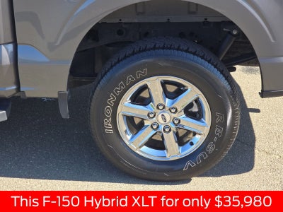 2024 Ford F-150 XLT