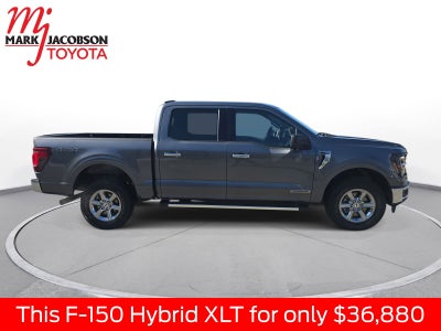 2024 Ford F-150 XLT