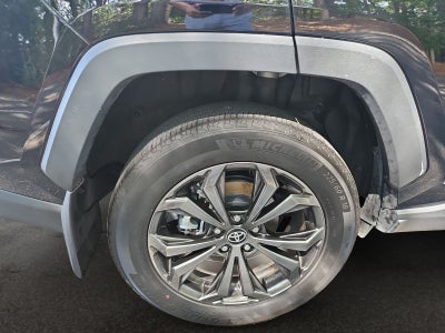 2025 Toyota RAV4 Hybrid XLE Premium