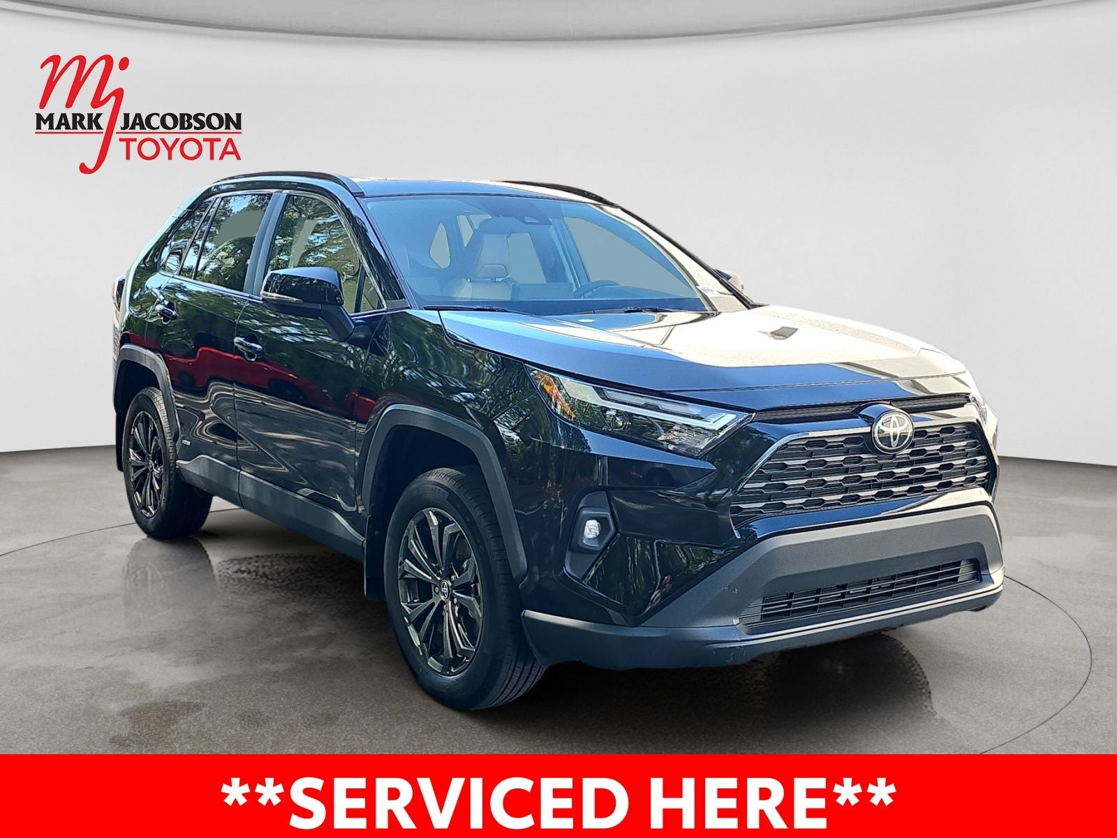 2025 Toyota RAV4 Hybrid XLE Premium