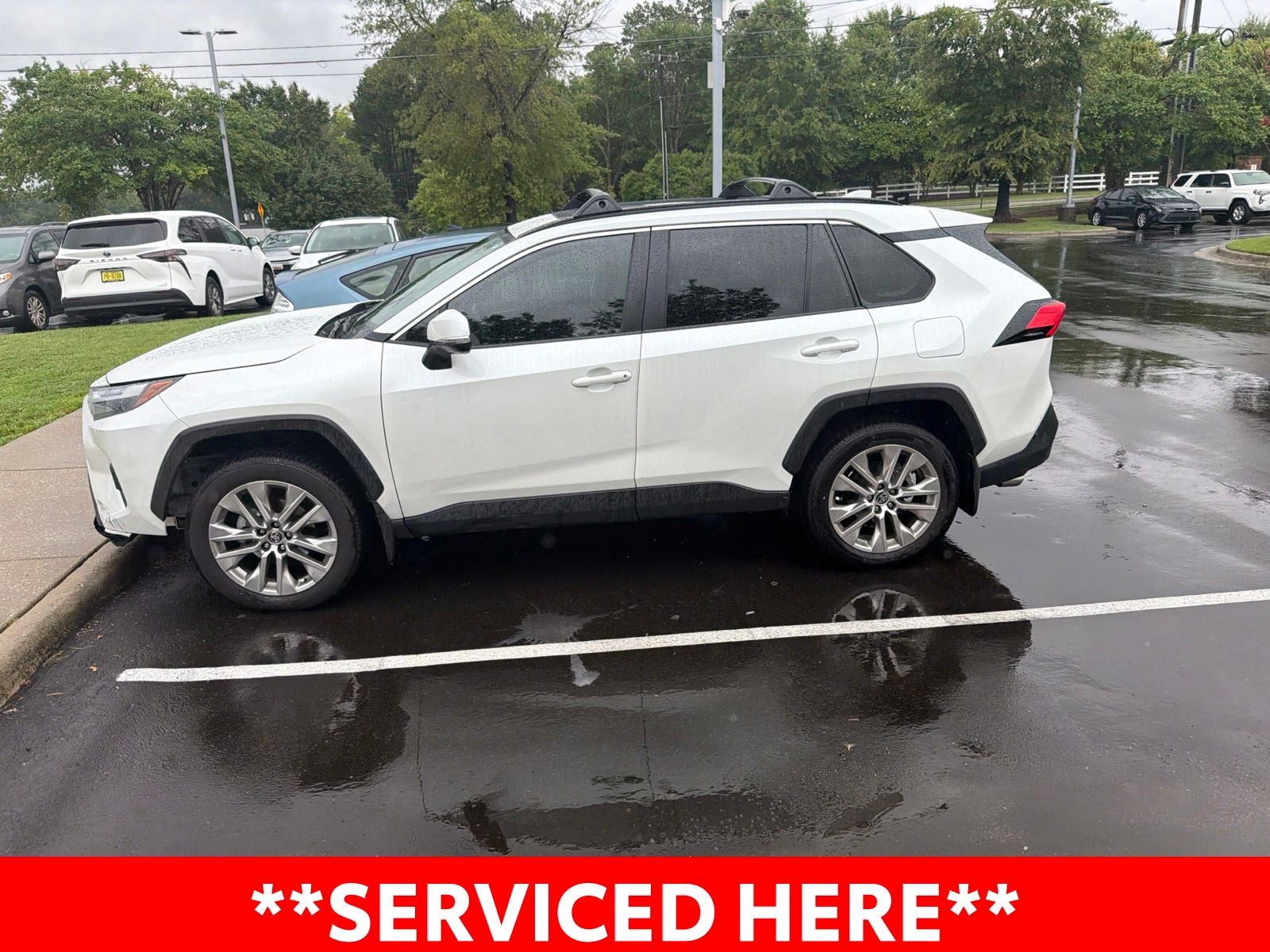 2025 Toyota RAV4 XLE Premium