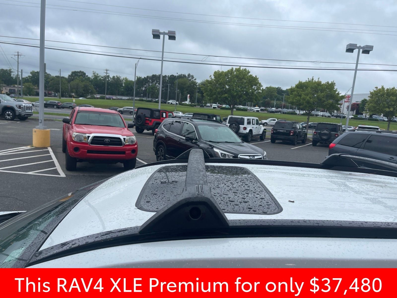 2025 Toyota RAV4 XLE Premium