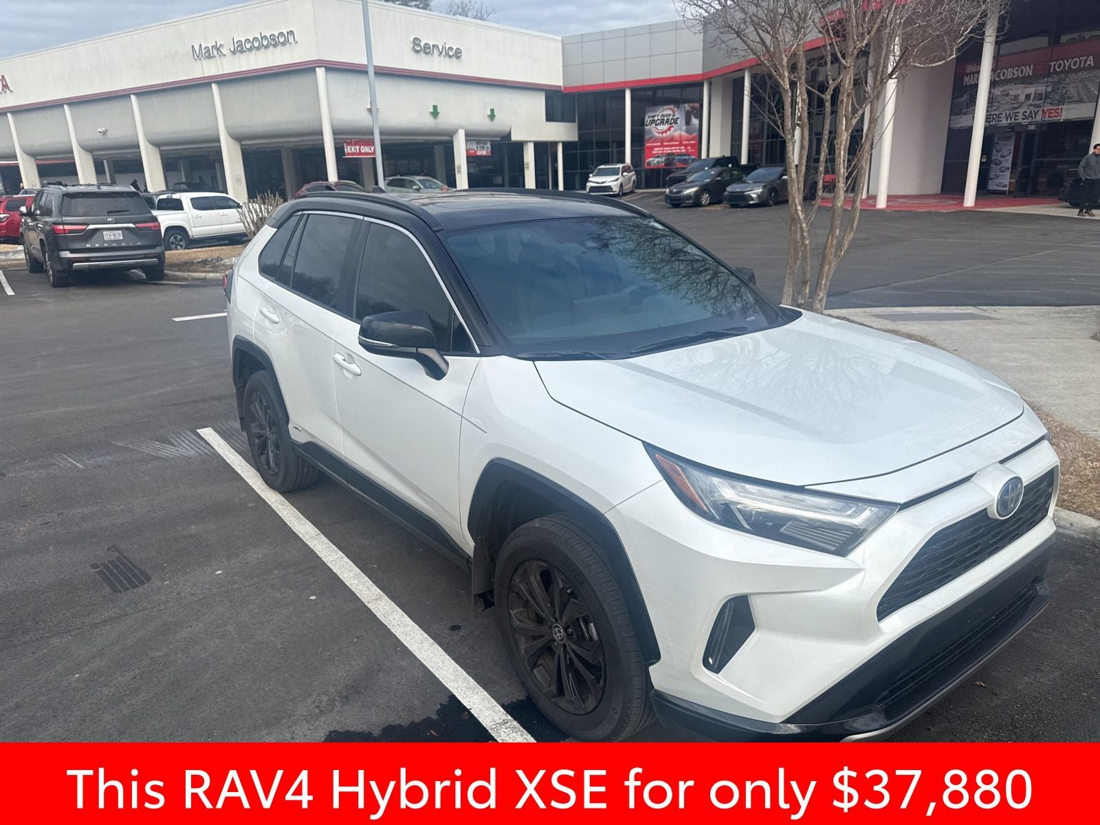 2024 Toyota RAV4 Hybrid XSE