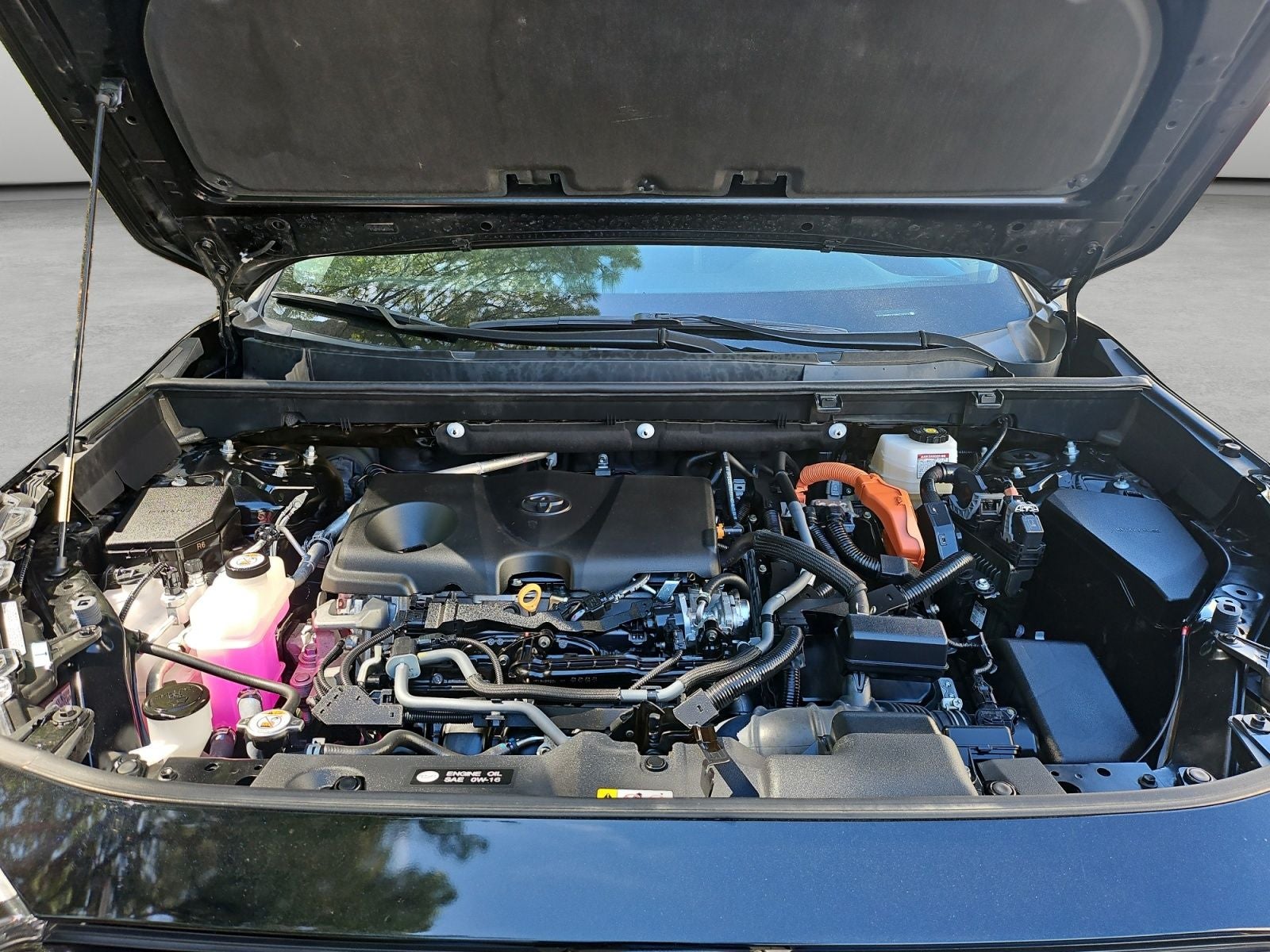 2024 Toyota RAV4 Hybrid Woodland Edition