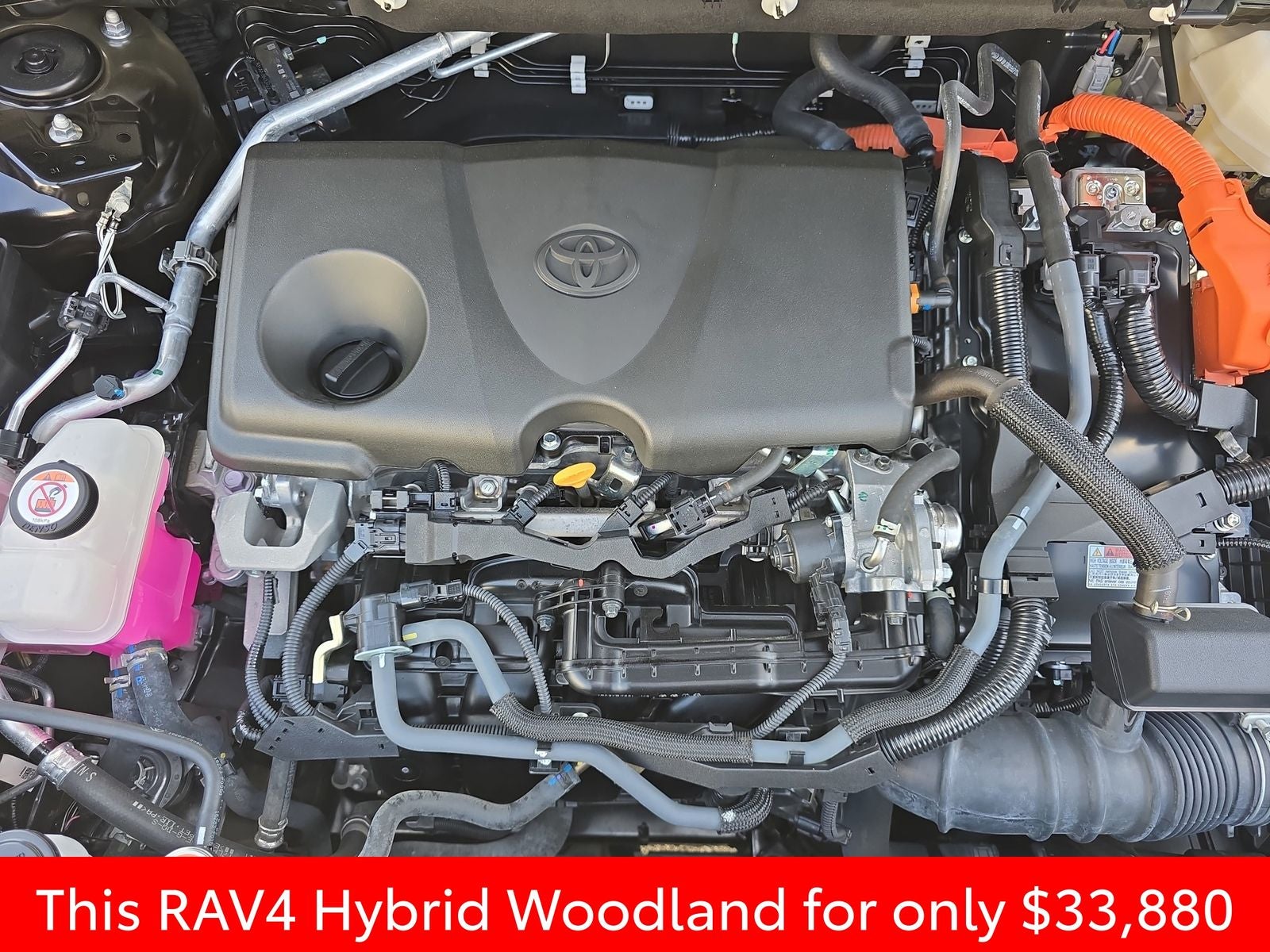 2024 Toyota RAV4 Hybrid Woodland Edition