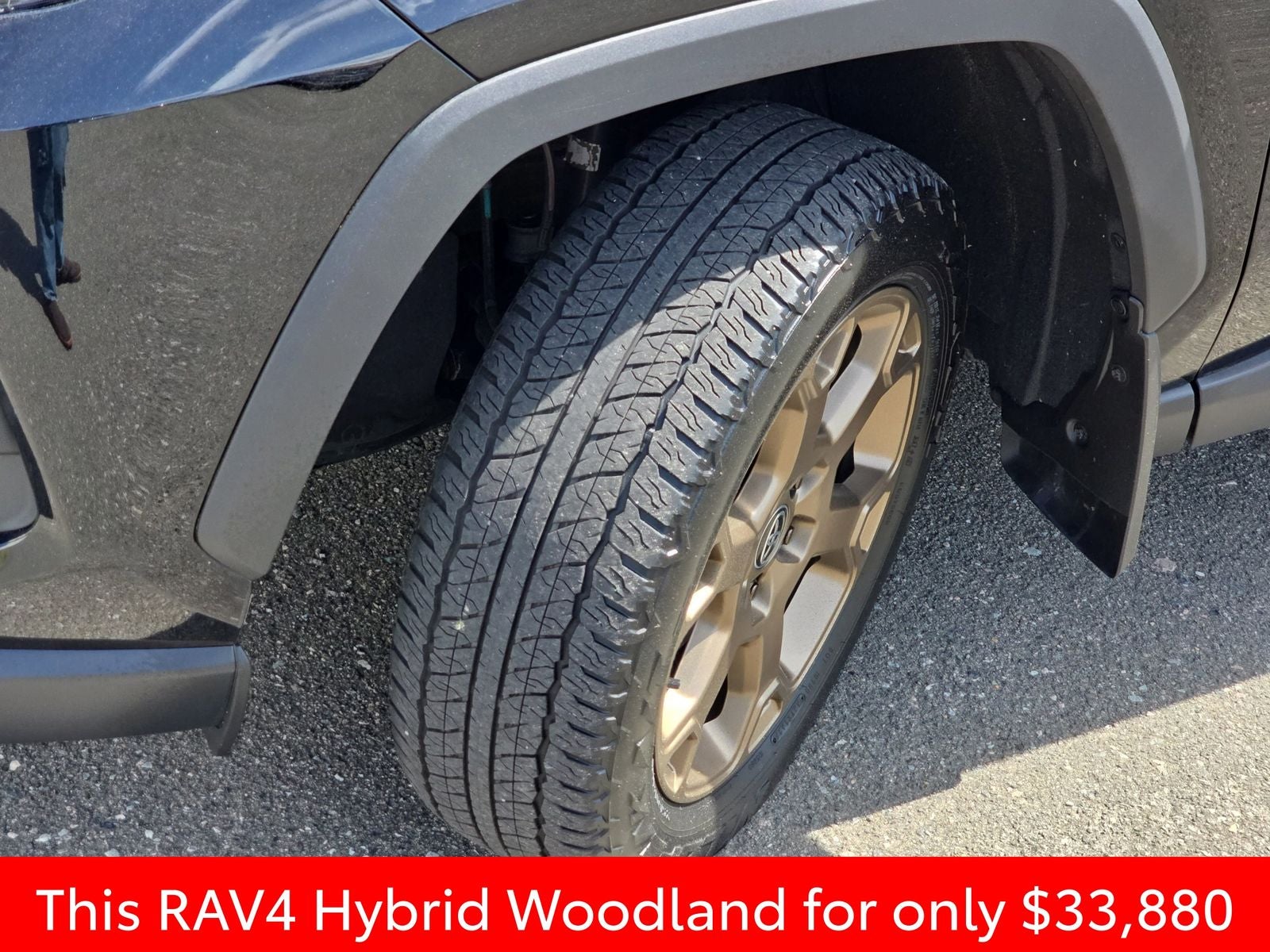 2024 Toyota RAV4 Hybrid Woodland Edition