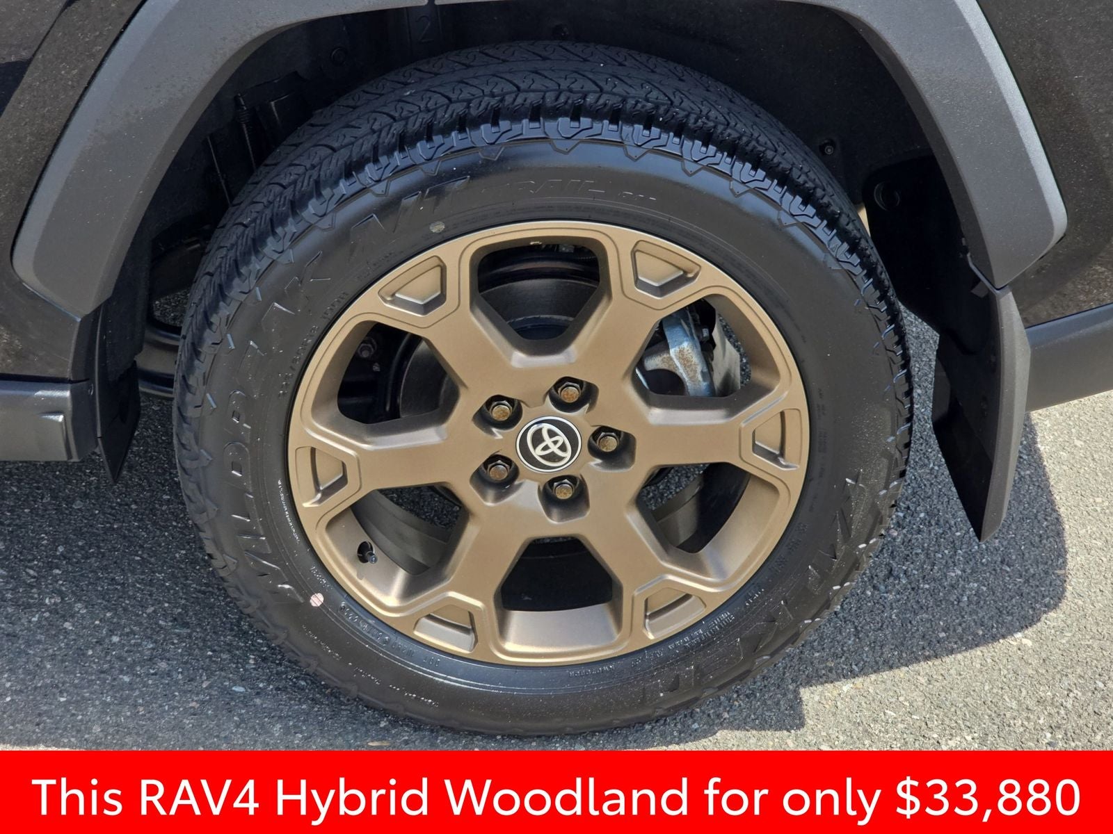 2024 Toyota RAV4 Hybrid Woodland Edition