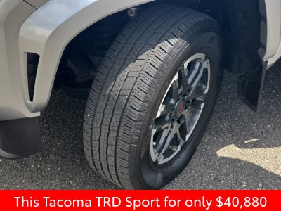 2024 Toyota Tacoma TRD Sport