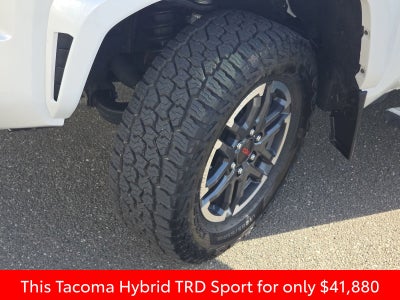 2024 Toyota Tacoma Hybrid TRD Sport