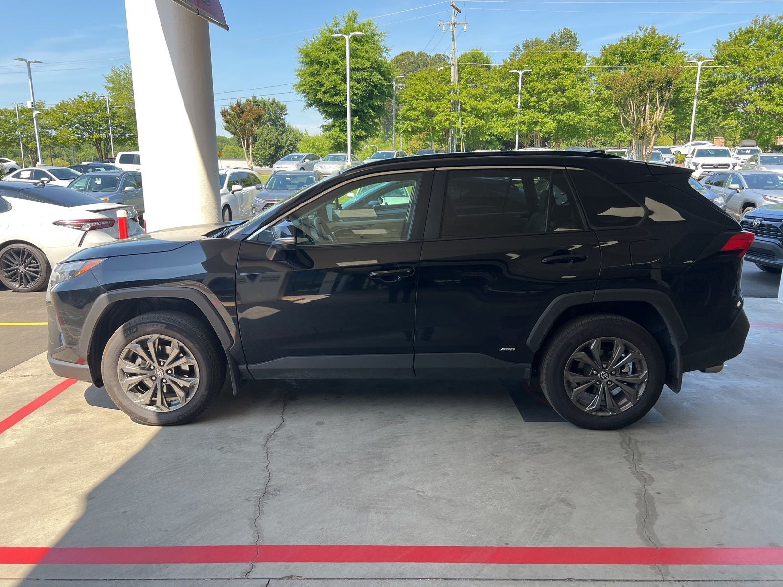 2025 Toyota RAV4 Hybrid XLE Premium AWD's photo