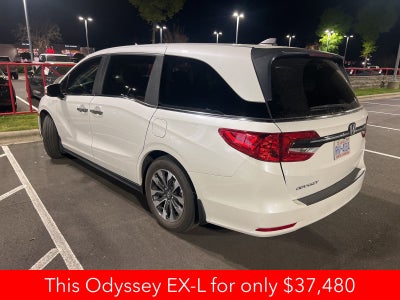 2024 Honda Odyssey EX-L