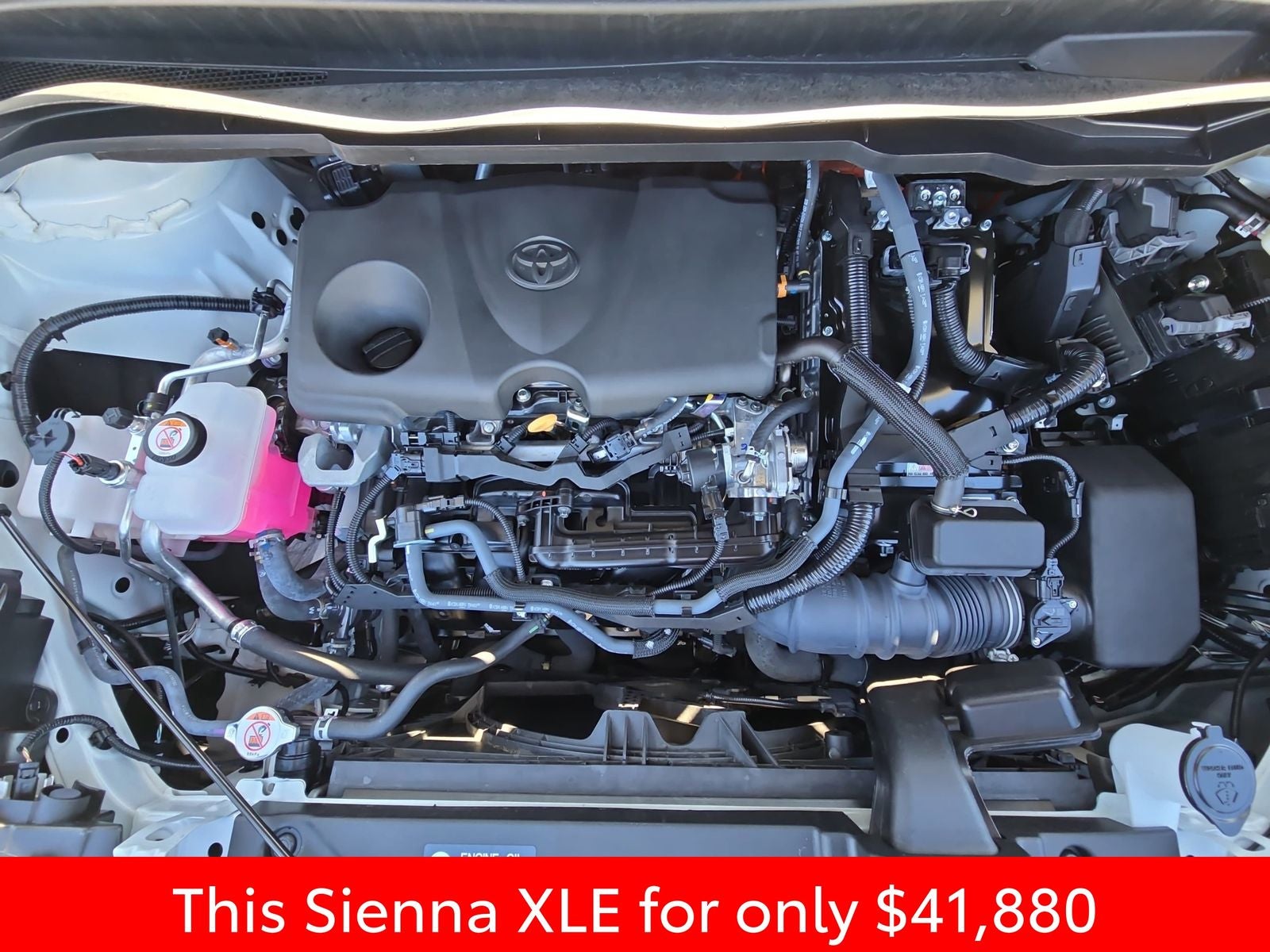 2024 Toyota Sienna XLE 7 Passenger