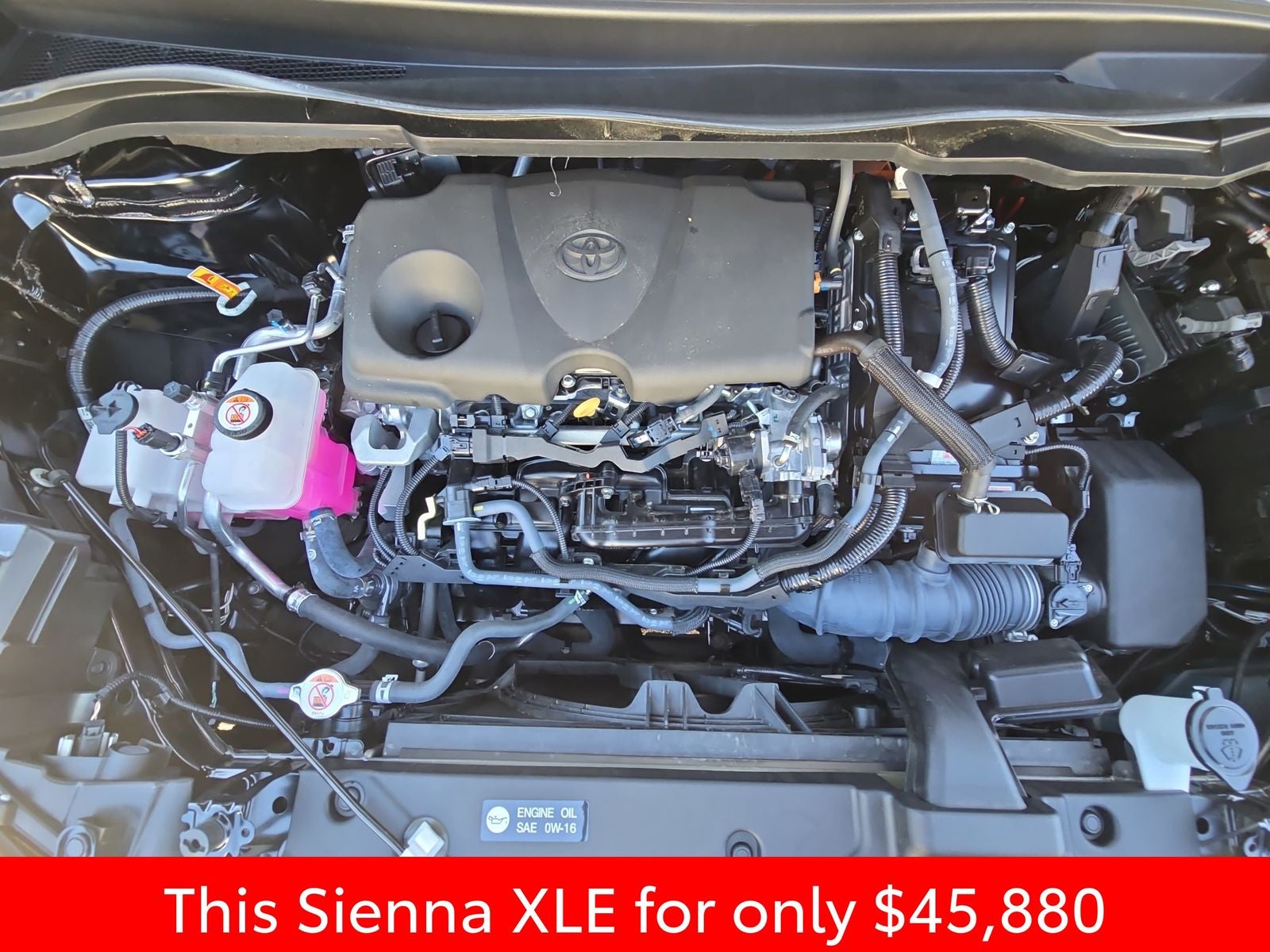 2025 Toyota Sienna XLE 7 Passenger