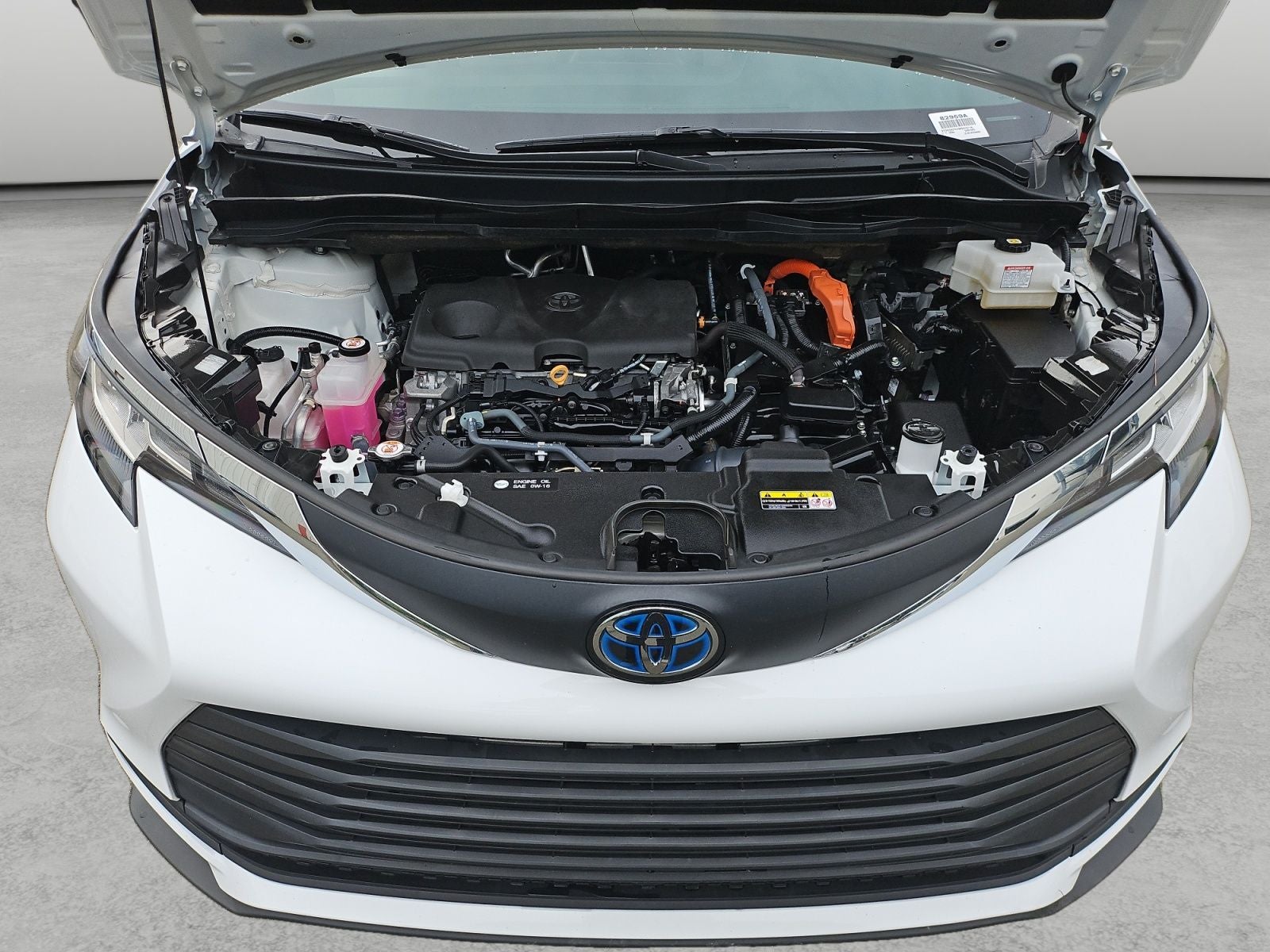 2021 Toyota Sienna LE 8 Passenger