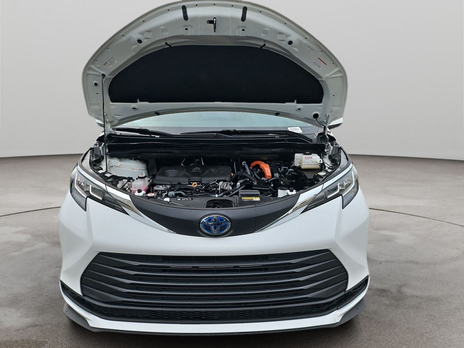 2021 Toyota Sienna LE 8 Passenger