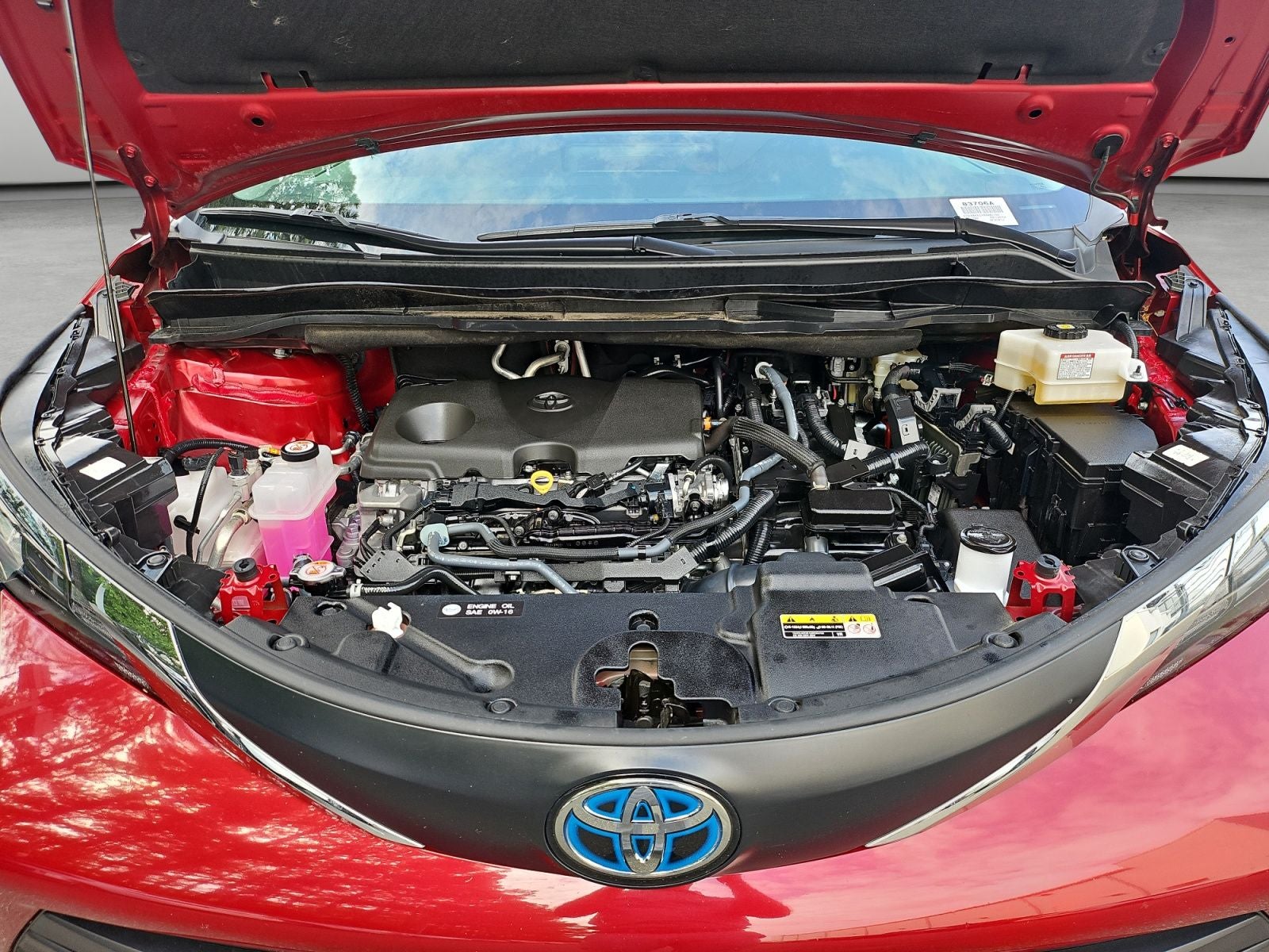2025 Toyota Sienna XLE 8 Passenger