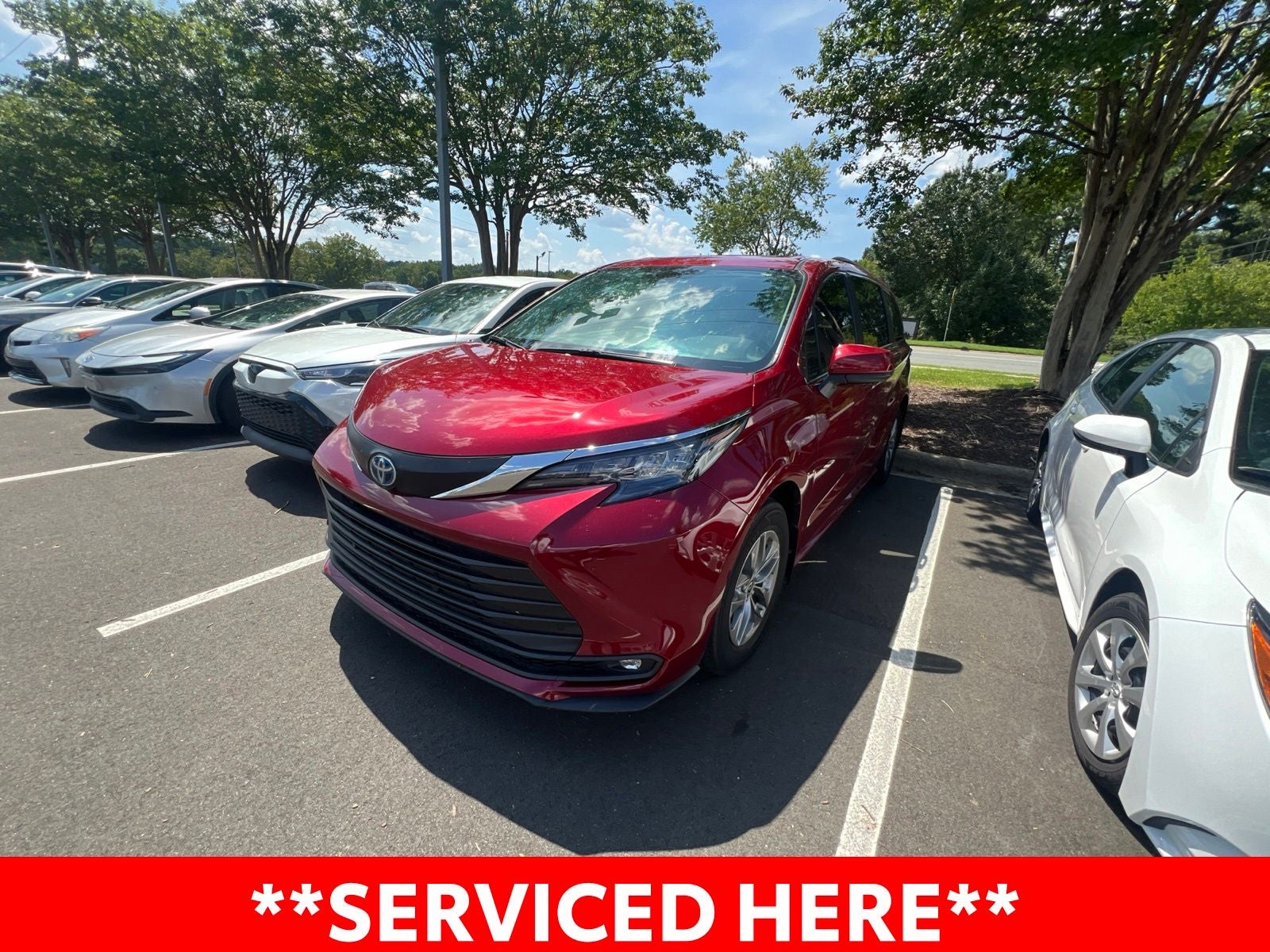2025 Toyota Sienna XLE 8 Passenger