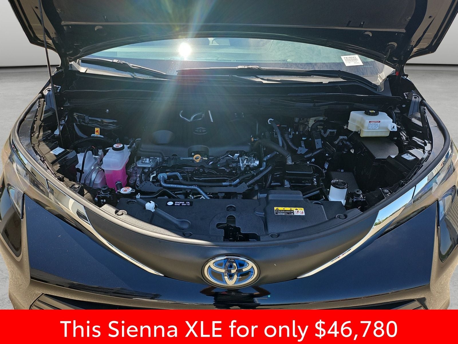 2025 Toyota Sienna XLE 8 Passenger
