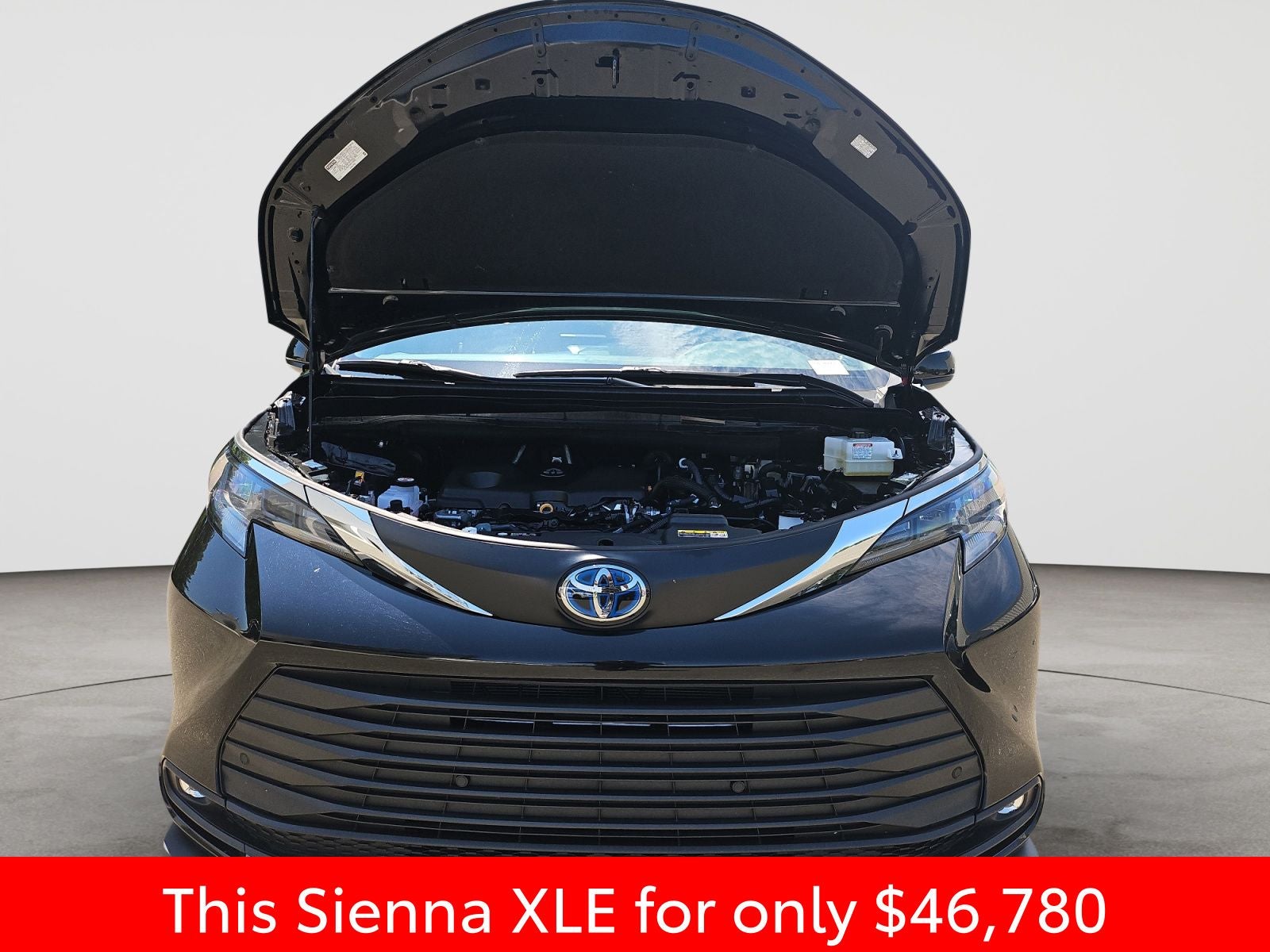 2025 Toyota Sienna XLE 8 Passenger