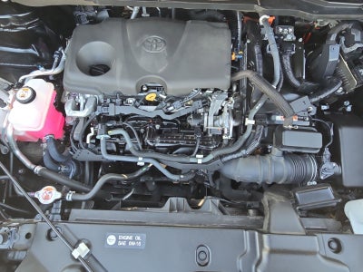 2021 Toyota Sienna XLE 7 Passenger