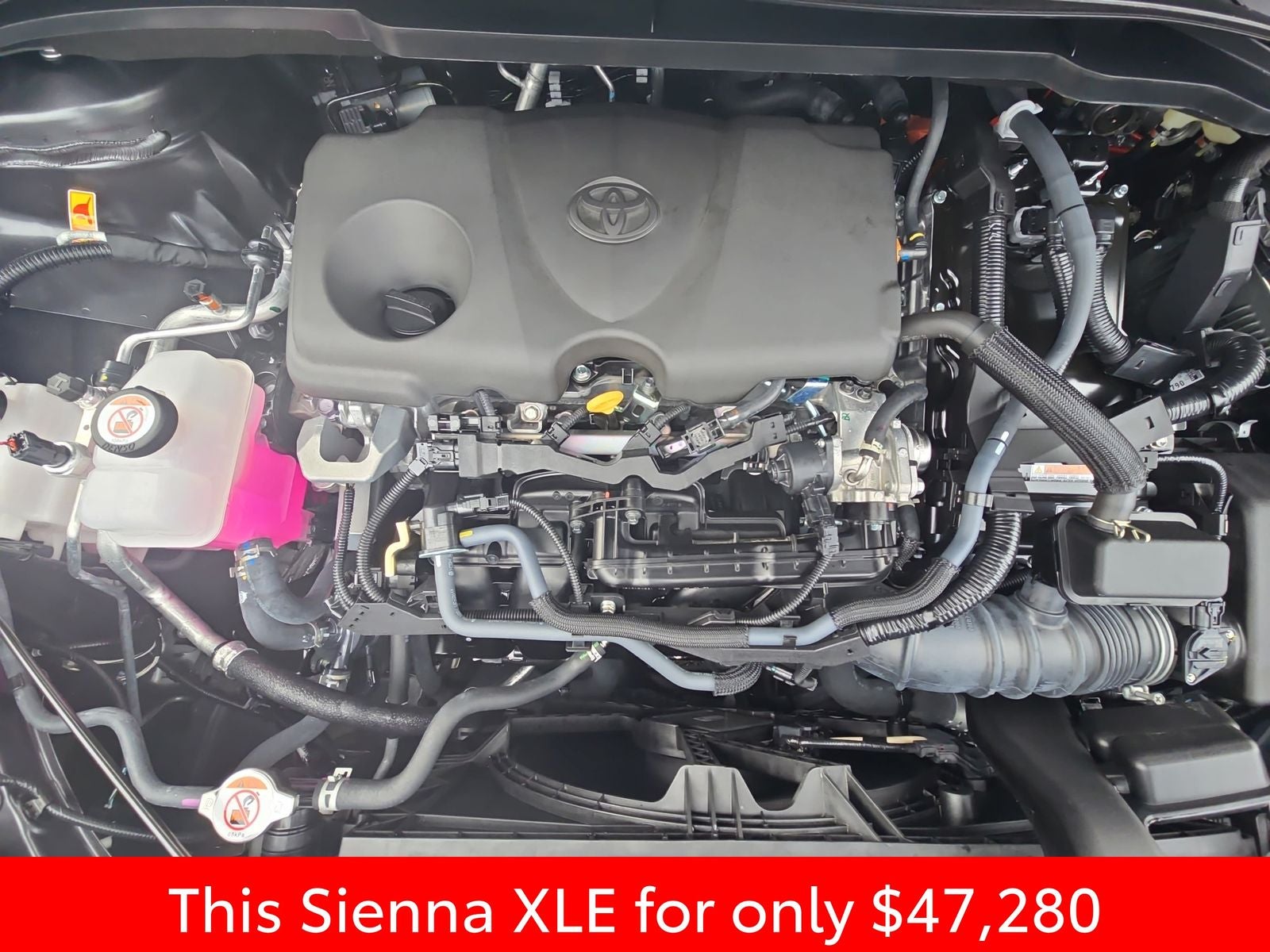 2025 Toyota Sienna XLE 8 Passenger