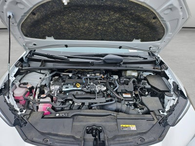 2025 Toyota Prius XLE