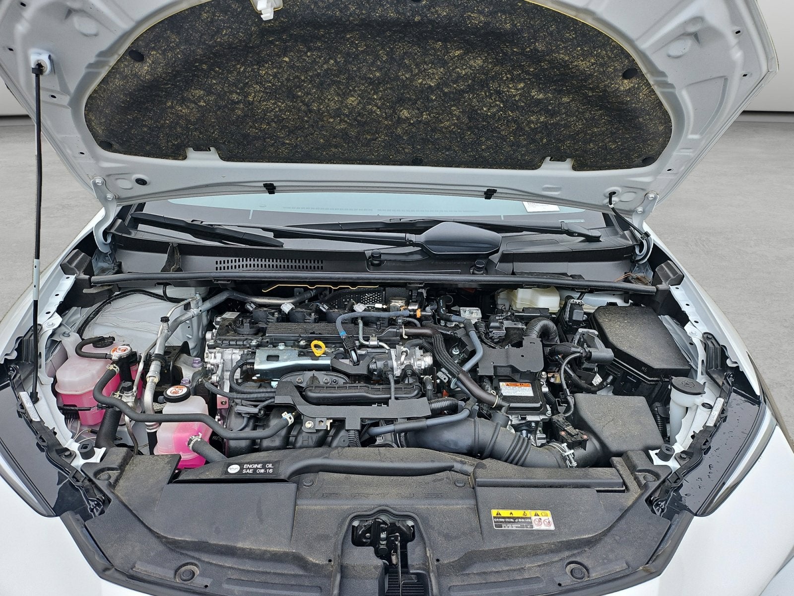 2025 Toyota Prius XLE