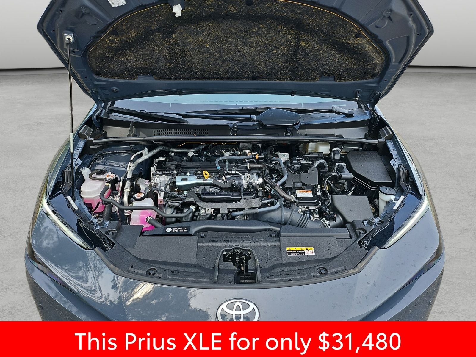 2024 Toyota Prius XLE