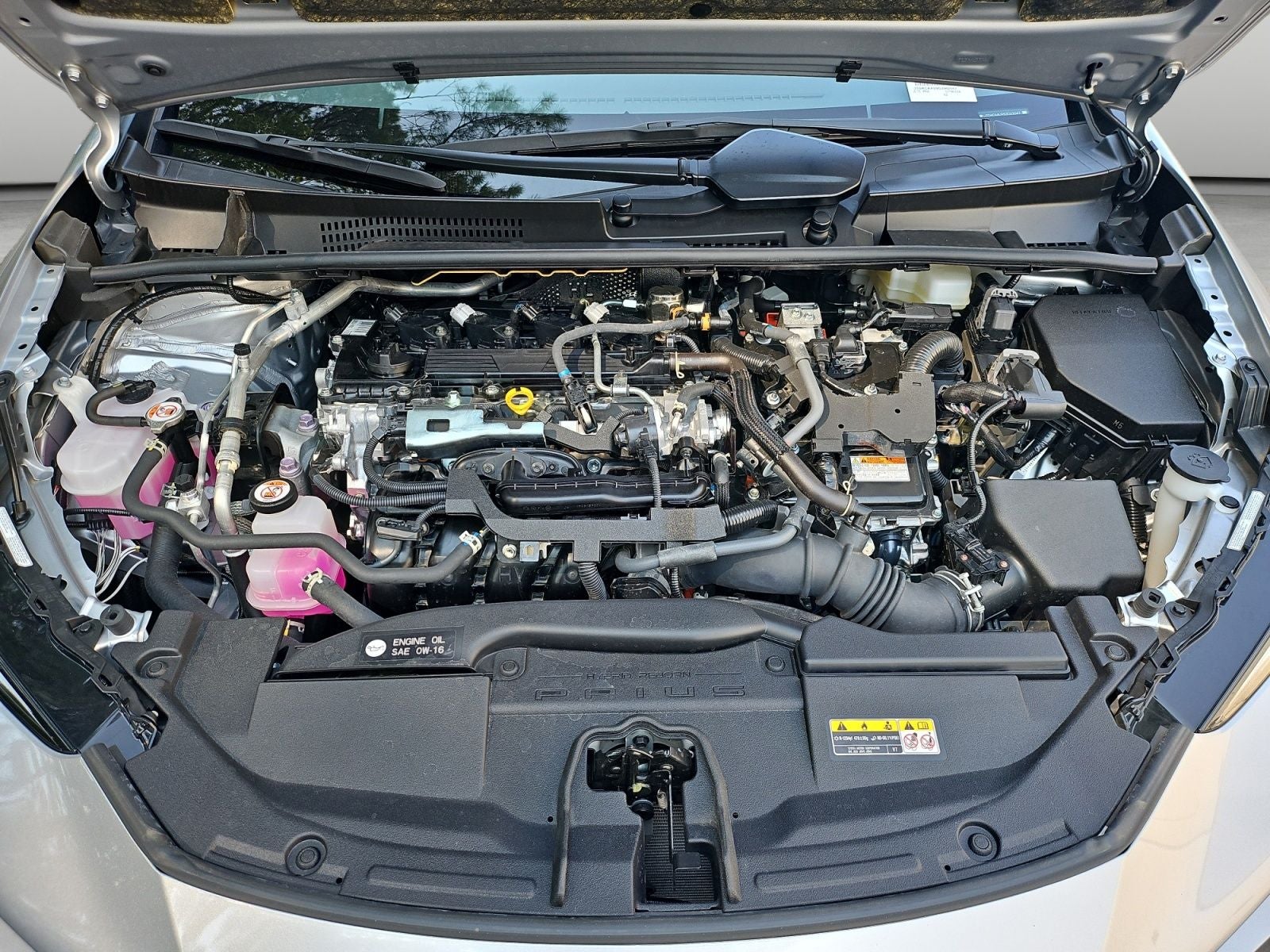 2025 Toyota Prius XLE