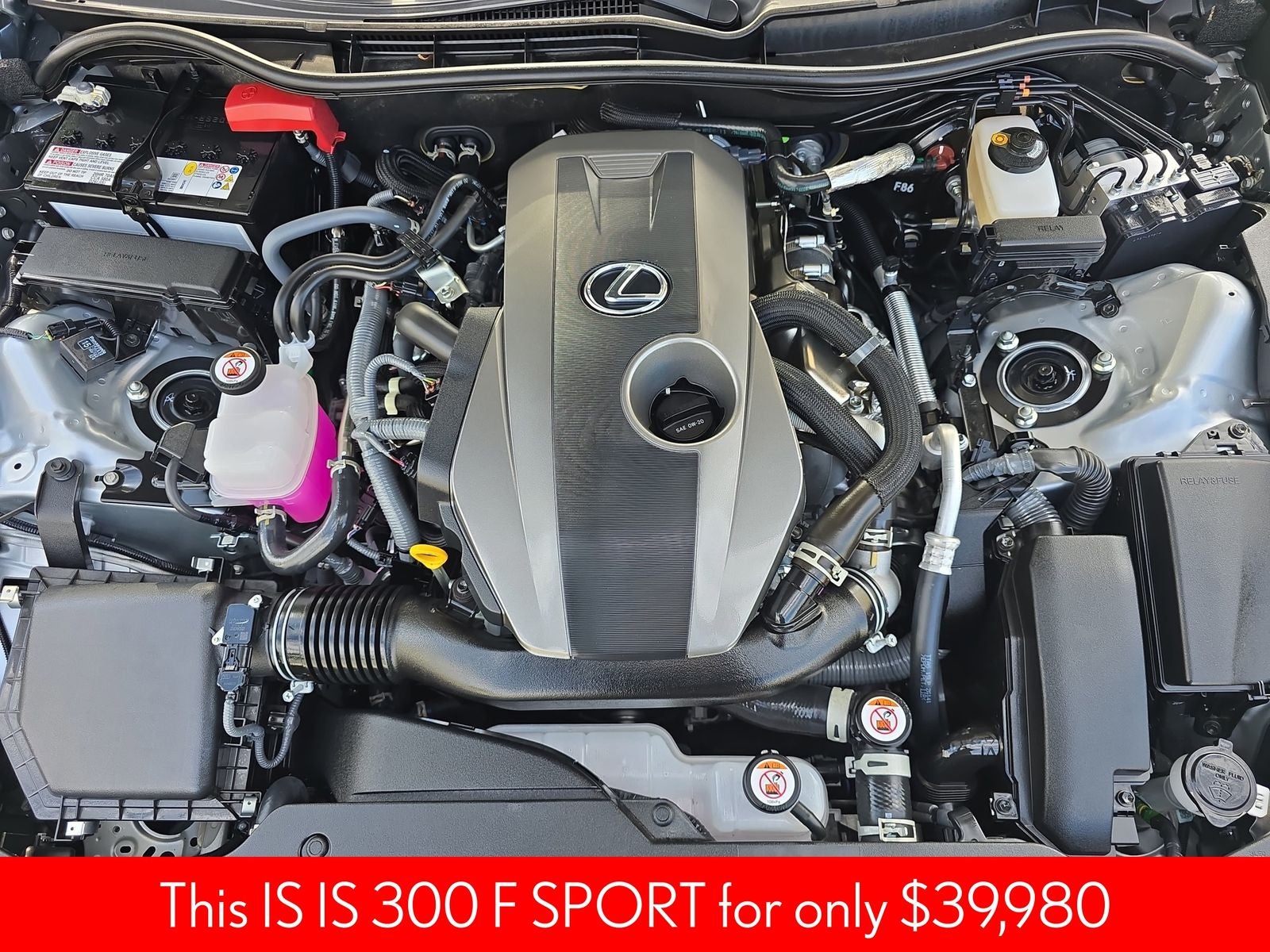 2024 Lexus IS 300 F SPORT