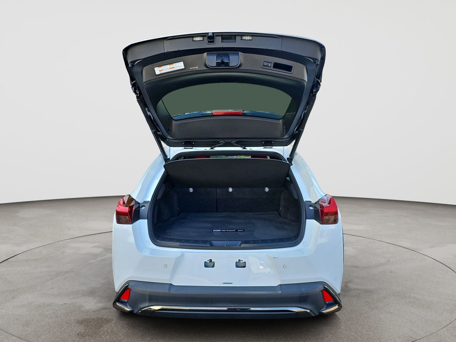 2019 Lexus UX 250h F SPORT