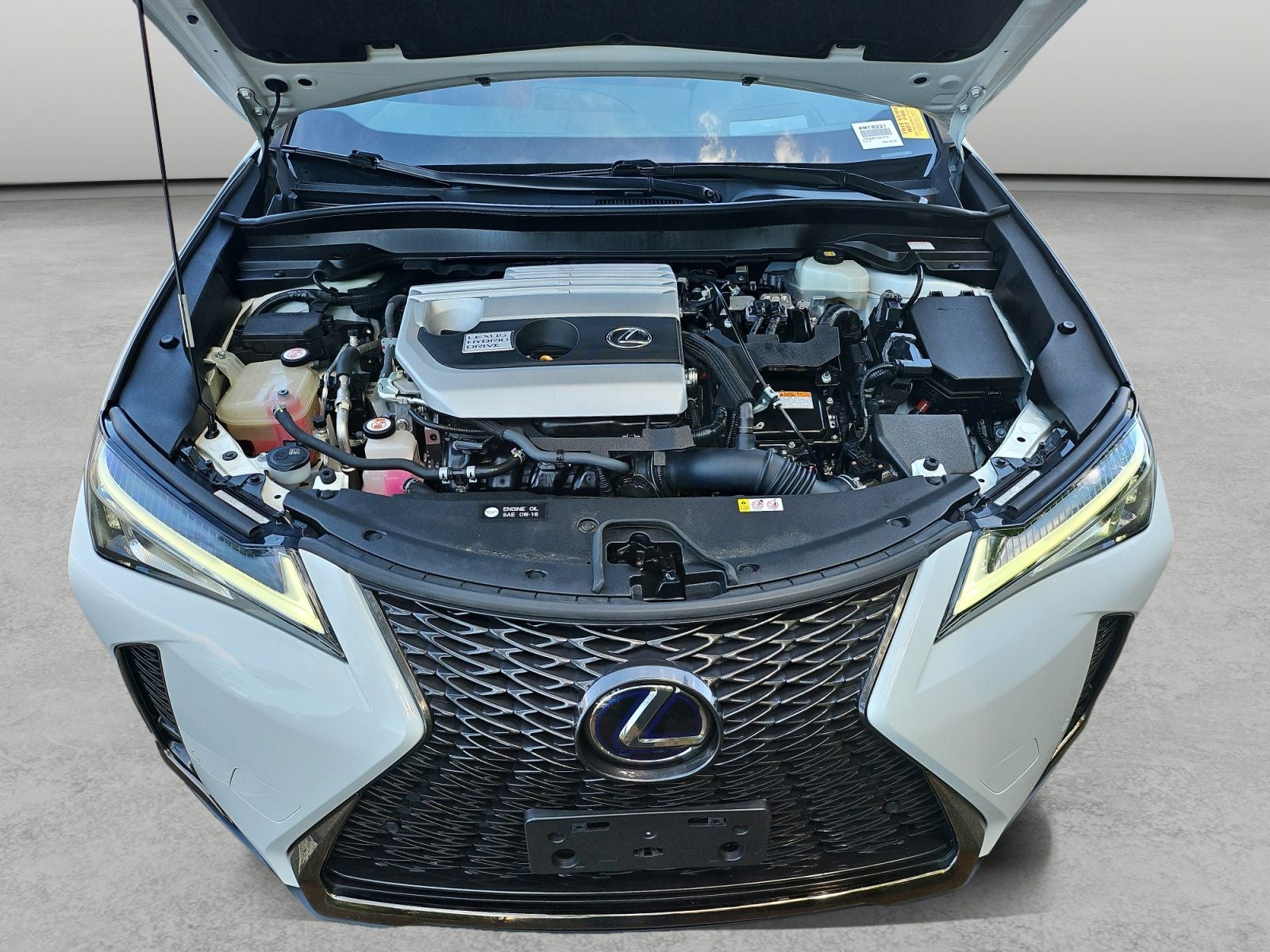 2019 Lexus UX 250h F SPORT
