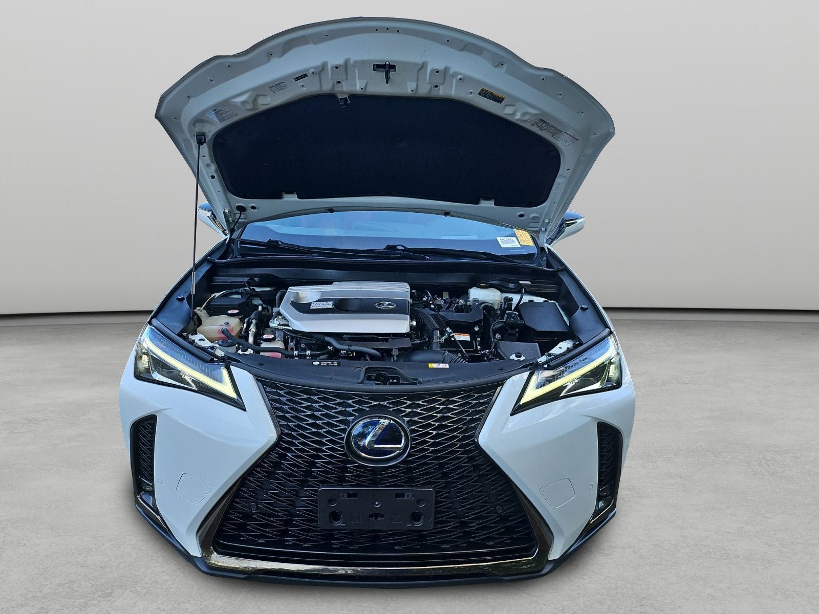 2019 Lexus UX 250h F SPORT