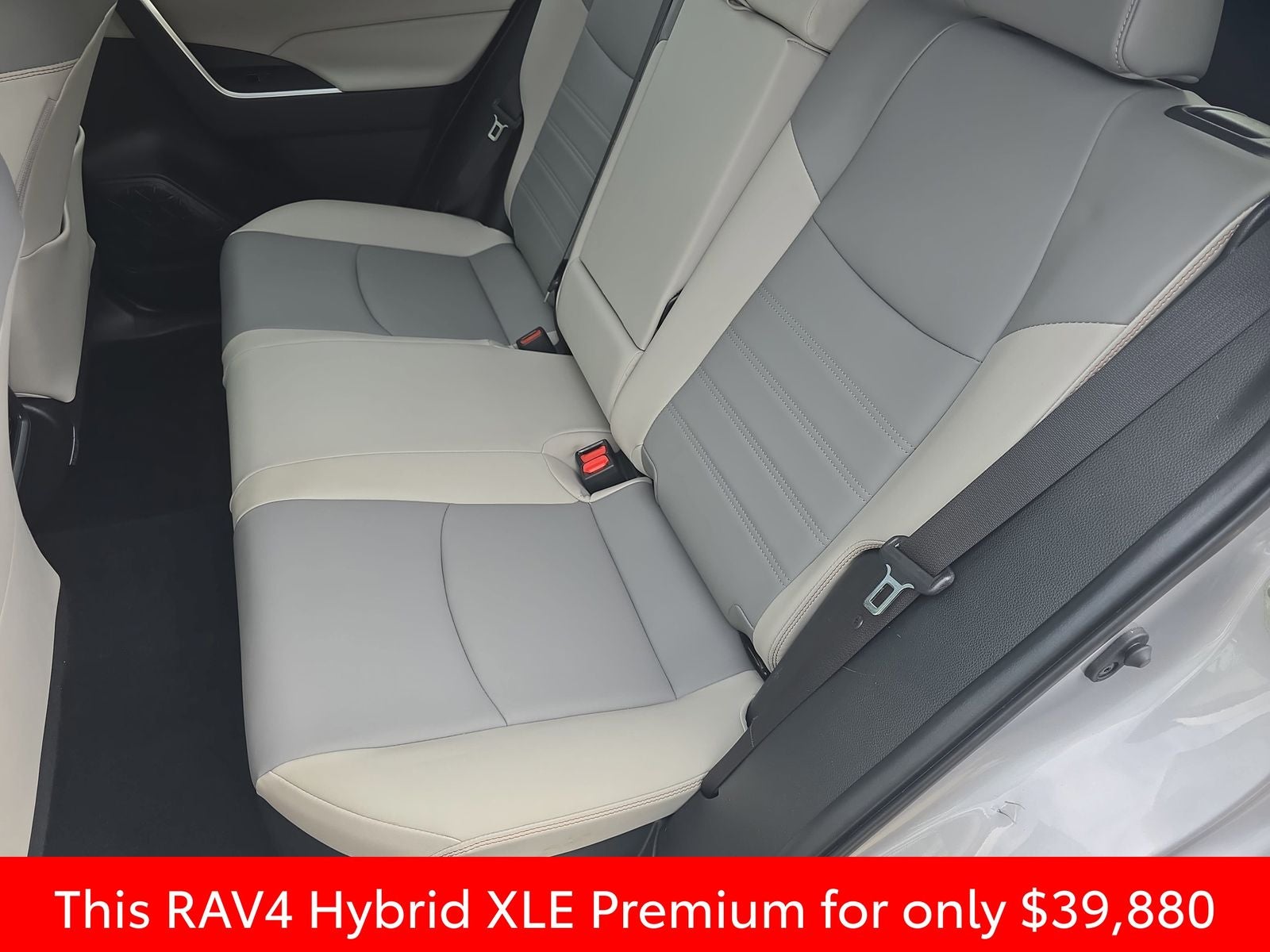 2025 Toyota RAV4 Hybrid XLE Premium