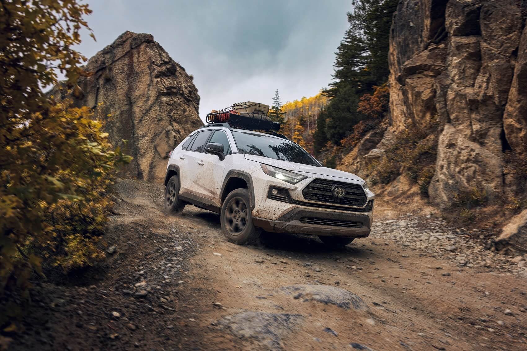 Toyota RAV4 Off Road 1 