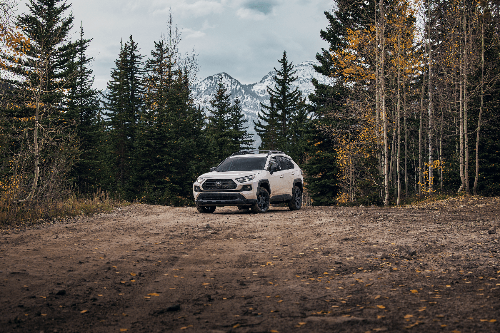 Toyota RAV4 Lease Deals near Durham NC
