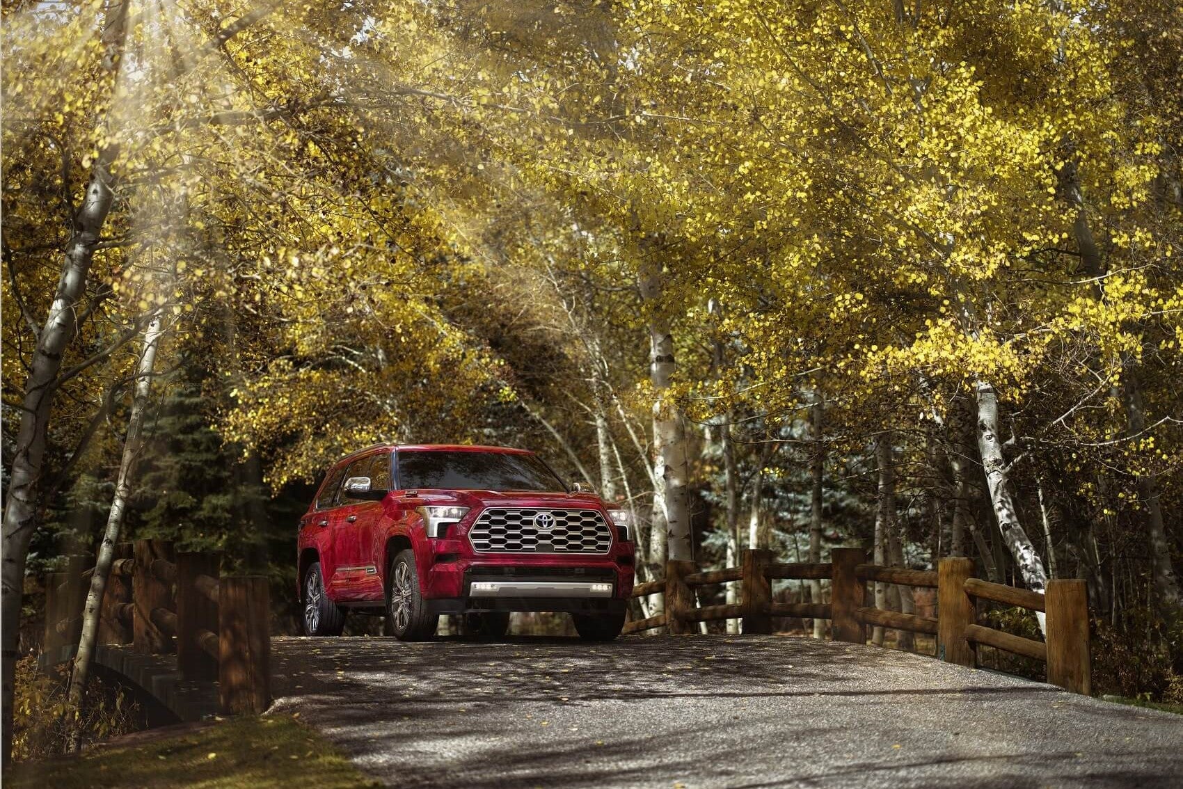 Toyota Hybrids Durham NC