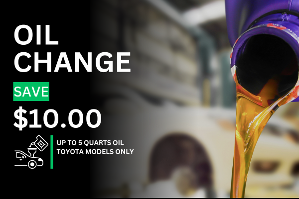 Oil & Filter Change