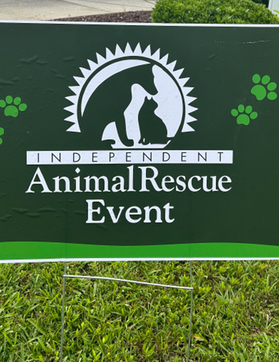 Animal Rescue Event Mark Jacobson Toyota
