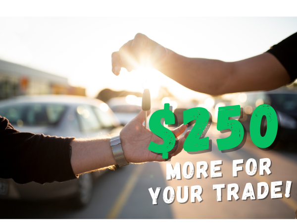 Mark Jacobson More for Trade Durham NC 