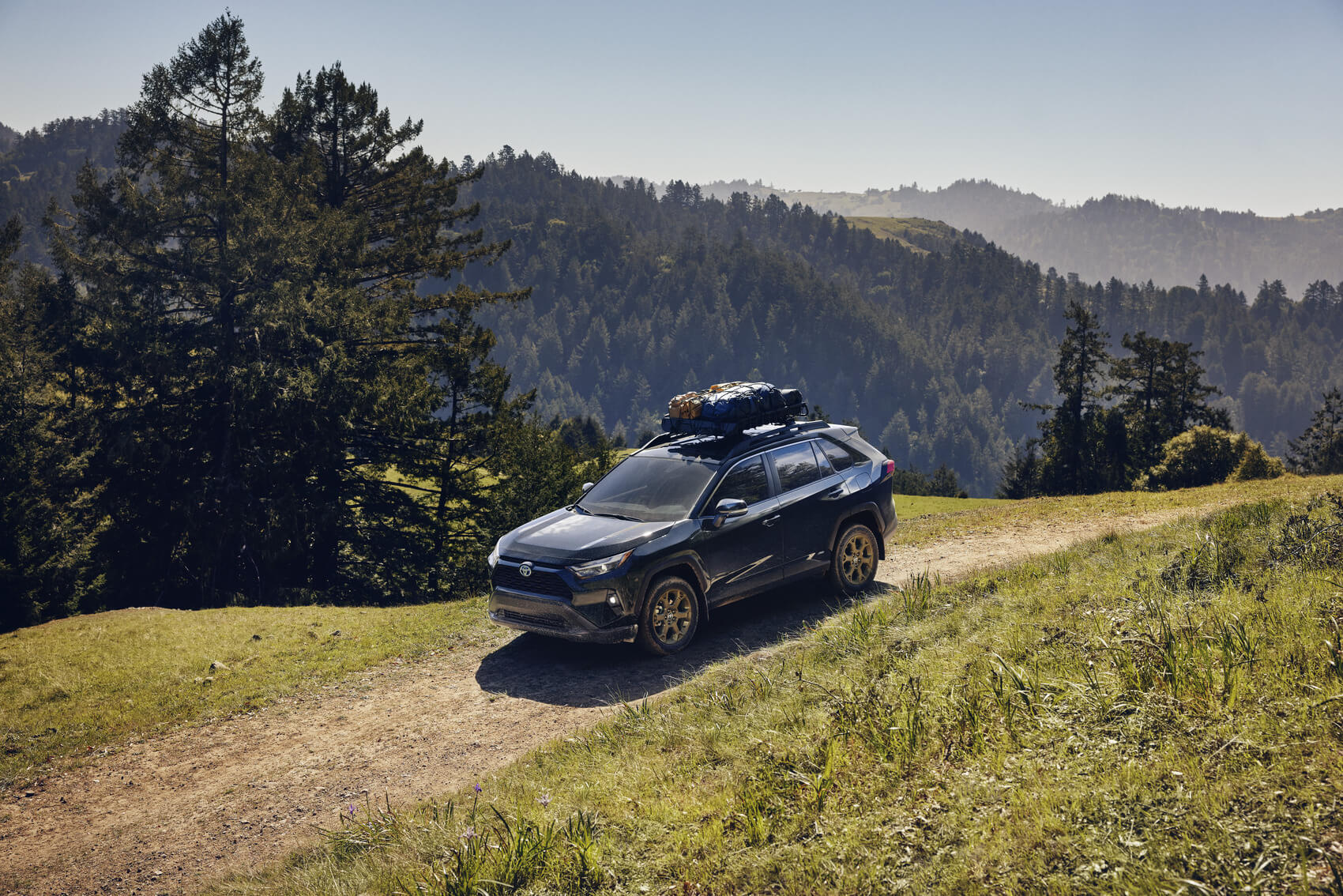 RAV4 Hybrid driving off-road