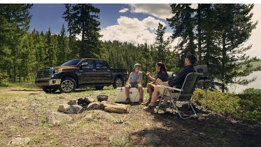 Truck with people sitting by vehicle